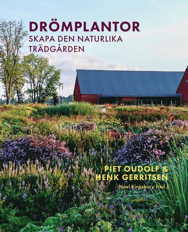 bokomslag Drömplantor: skapa den naturlika trädgården