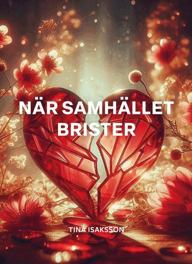 Tina Isaksson - När samhället brister, Storpocket