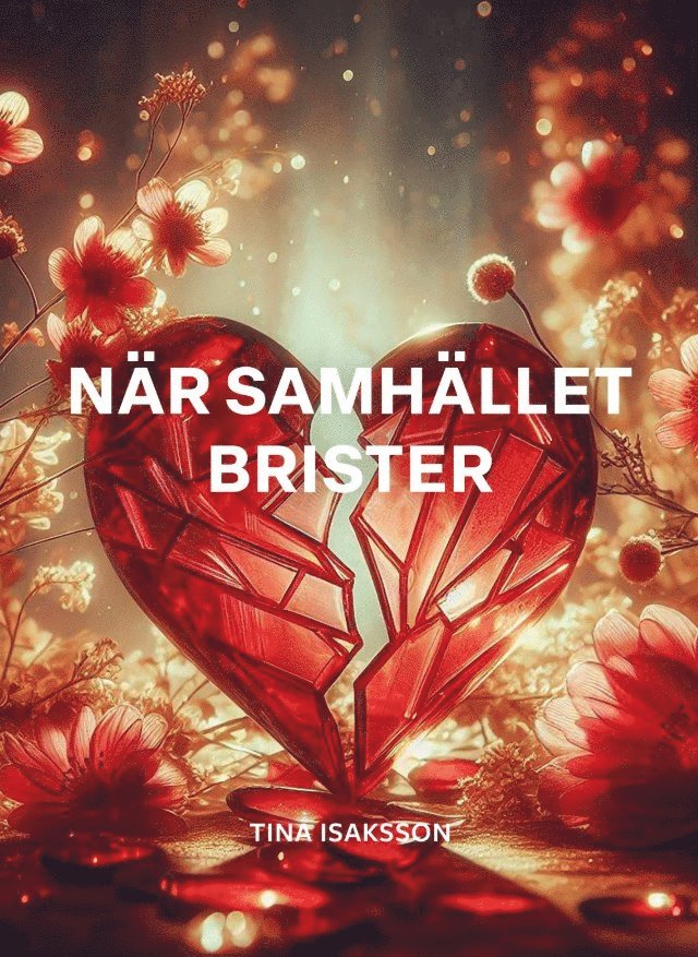 Tina Isaksson - När samhället brister, Storpocket