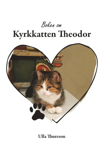 bokomslag Boken om Kyrkkatten Theodor