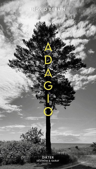 Ingrid Berlin - Adagio, Inbunden