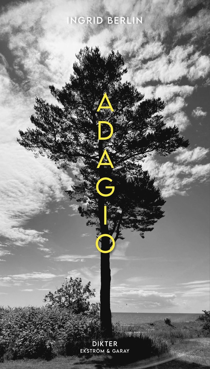 Adagio 1