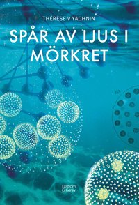 bokomslag Spår av ljus i mörkret