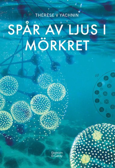 bokomslag Spår av ljus i mörkret