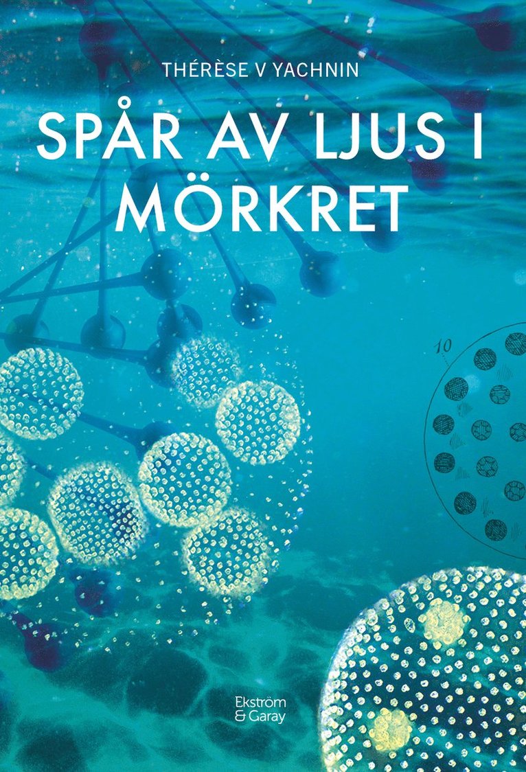 Spår av ljus i mörkret 1