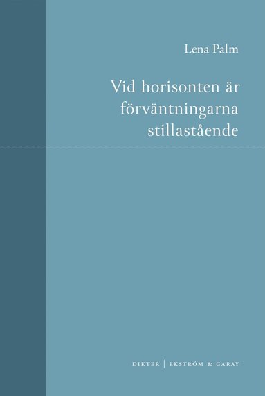 bokomslag Vid horisonten är förväntningarna stillastående