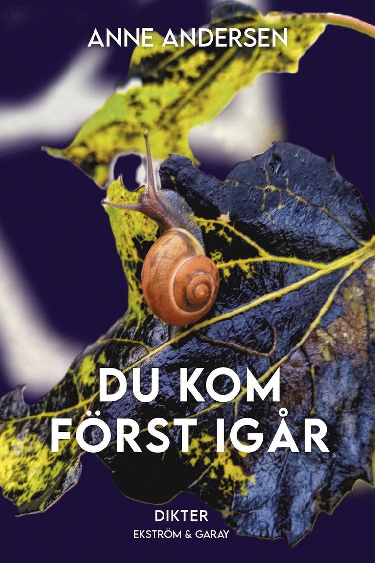 Anne Andersen - Du kom först igår, Häftad