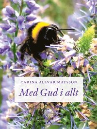 bokomslag Med Gud i allt