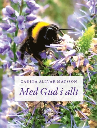 bokomslag Med Gud i allt