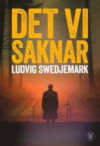 bokomslag Det vi saknar