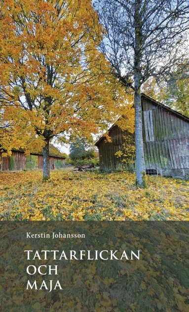 Kerstin Johansson - Tattarflickan och Maja, Pocket