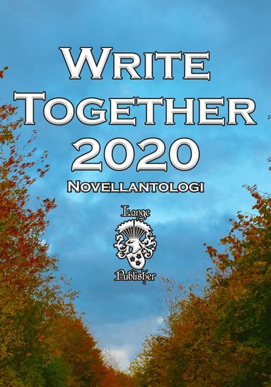 Harriette Sjödahl, Göran Brohammer, Pernilla Enmark, Ethel Hedström, Leif Eriksson, Bibbi Ahrnstedt, Ló Ke'oni, Carina Persson, Sofie Lagerkvist - Write Together 2020, Häftad