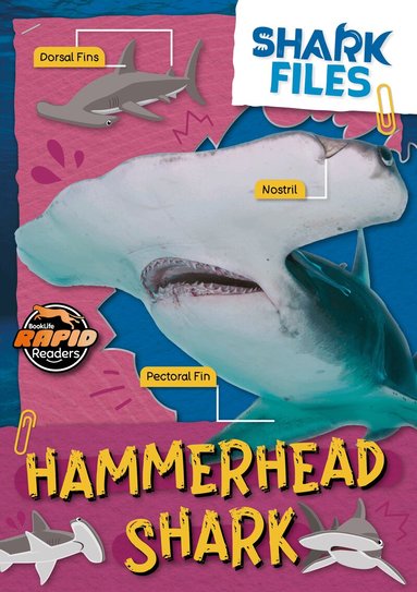 Noah Letherland - Hammerhead shark, Häftad