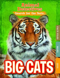 bokomslag Big Cats
