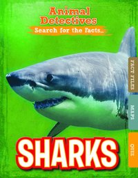 bokomslag Sharks