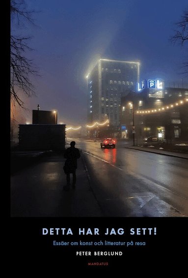 Peter Berglund - Detta har jag sett! Essäer om konst och litteratur på resa, Häftad