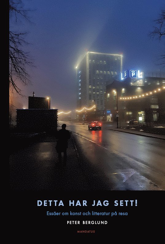 Peter Berglund - Detta har jag sett! Essäer om konst och litteratur på resa, Häftad