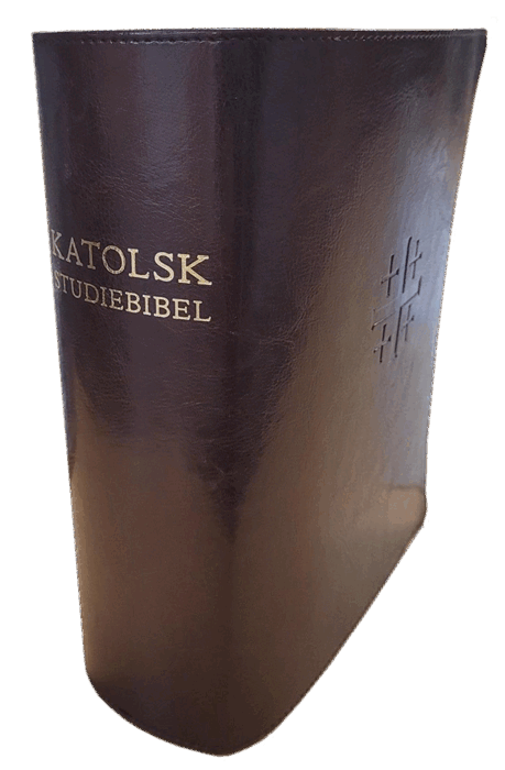 Katolsk studiebibel : Bibel 2000 med katolska kommentarer, Inbunden