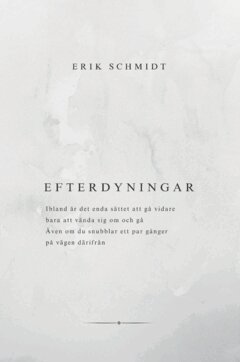 Erik Schmidt - Efterdyningar, Häftad