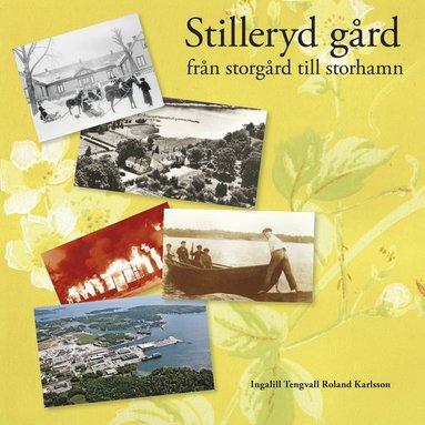 bokomslag Stilleryd gård : från storgård till storhamn