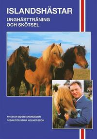 bokomslag Islands-unghästträning och - skötsel
