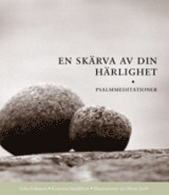 En skärva av din härlighet  : psalmmeditationer
