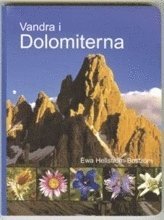 bokomslag Vandra i Dolomiterna