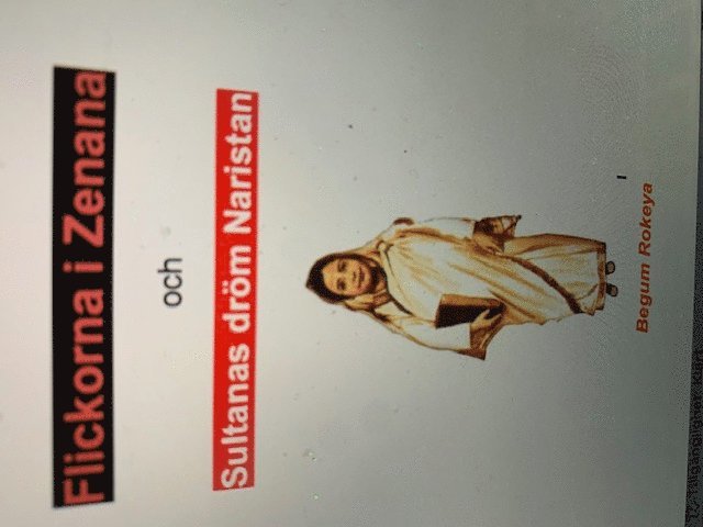 Flickor i Zenana och Sultanas dröm