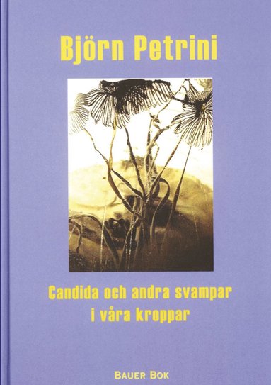 Björn Petrini - Candida och andra svampar i våra kroppar, Kartonnage