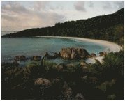 Anders Krisár - Chords No 117, Inbunden