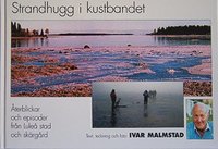 bokomslag Strandhugg i kustbandet : återblickar och episoder från Luleå stad och skärgård