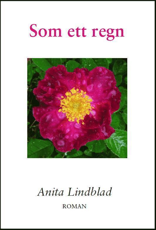 Anita Lindblad - Som ett regn, Häftad