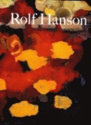 Rolf Hanson : Runtom hus/Around the house, Runtom trappa/Around the stair, Descendant/Remontant, Ombre portée, Superficie picturata : Dunkers kulturhus 6.5-3.9 2006