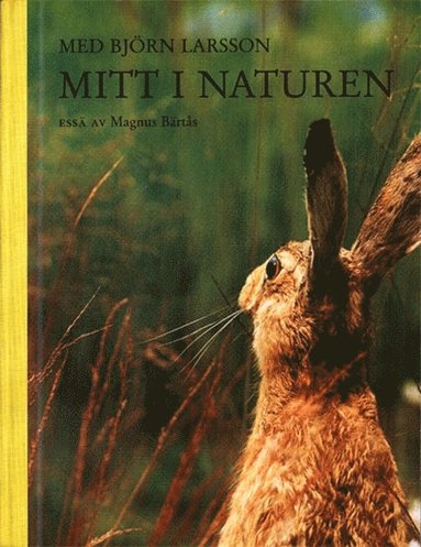 Björn Larsson - Med Björn Larsson mitt i naturen, Kartonnage