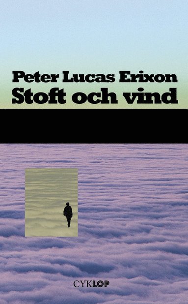 bokomslag Stoft och vind : roman