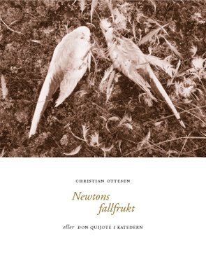 Newtons fallfrukt : eller Don Quijote i katedern