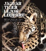 bokomslag Jaguar, tiger, lejon, leopard : möten med de fyra stora kattdjuren