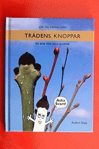 Anders Rapp - Lär dej känna igen trädens knoppar : en bok för alla åldrar, Inbunden