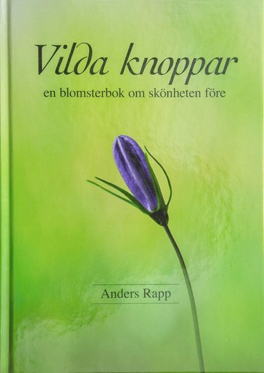 bokomslag Vilda knoppar : en blomsterbok om skönheten före