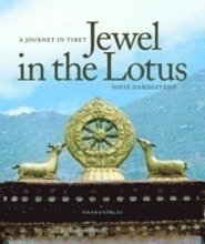 bokomslag Jewel in the Lotus : a journey in Tibet