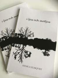 bokomslag I ljus och motljus