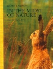 Björn Larsson - In the midst of nature, Kartonnage