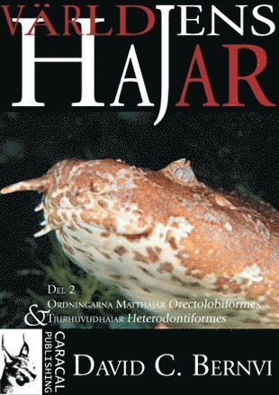 Världens Hajar D. 2 Ordningarna Matthajar Orectolobiformes & Tjurhuvudhajar Heterodontiformes