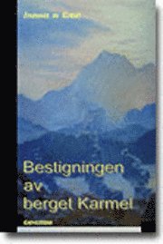 Johannes av Korset - Bestigningen av berget Karmel, Häftad