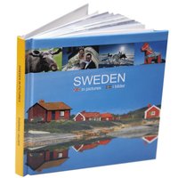 bokomslag Sweden in pictures - Sverige i bilder