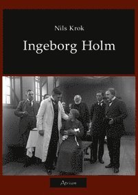 bokomslag Ingeborg Holm