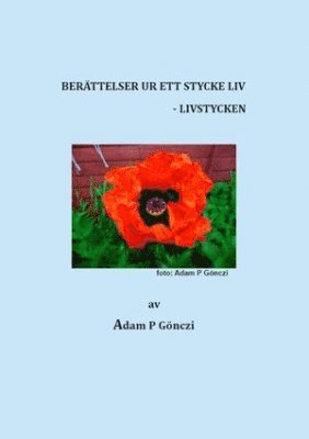 bokomslag Livstycken