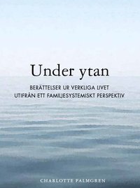 bokomslag Under ytan : berättelser ur verkliga livet utifrån ett familjesystemiskt perspektiv