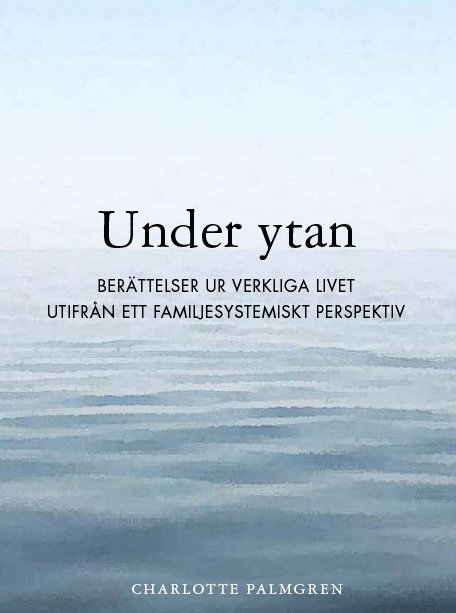 Charlotte Palmgren - Under ytan : berättelser ur verkliga livet utifrån ett familjesystemiskt perspektiv, Häftad