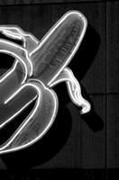 Santiago Sierra : Banankompaniet upplyst av dieselgenerator : en person hindrar en rad containrar och tidigare verk : Banan company illuminated by diesel generator : one person obstructing a line of containers and previous work, Häftad